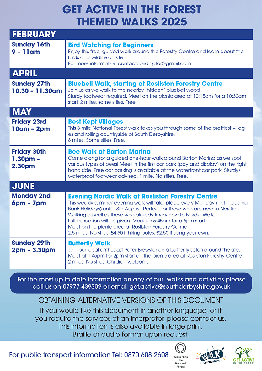 Bird Watching for Beginners