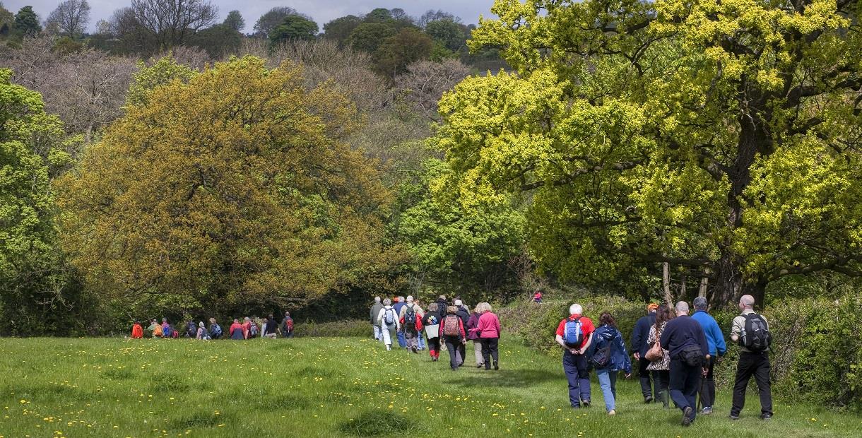 A Walking Update from Bolsover (May)